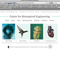 Center for Bioinspired Engineering