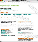 Engineering a DNA World