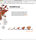 The Elowitz Lab