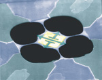 Roukes micrograph